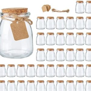 Mini Yogurt Glass Jars With Cork Lids, Ideal For Parfaits and Pudding